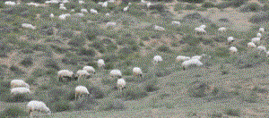 香港宝典六资料大全