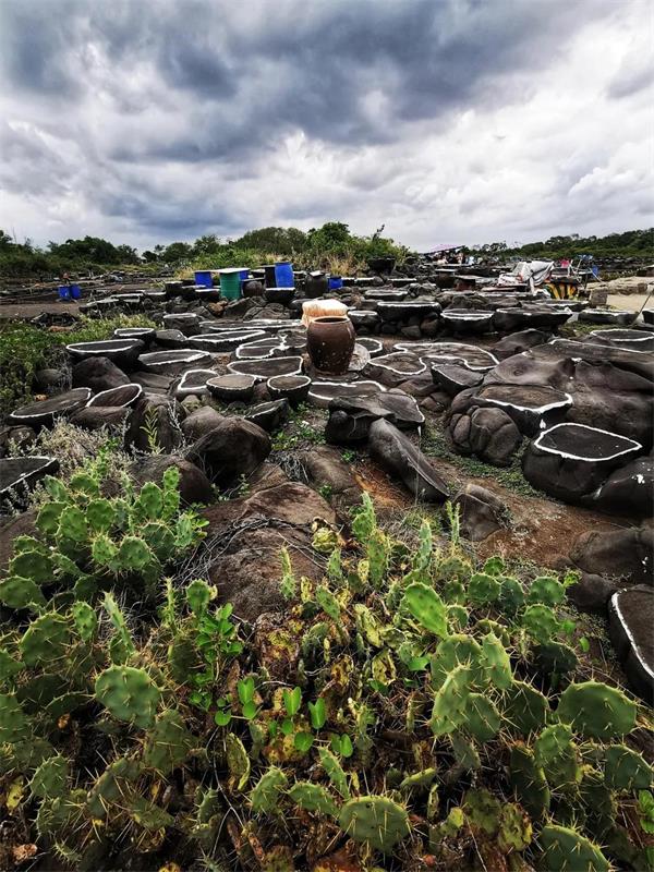 香港宝典六资料大全