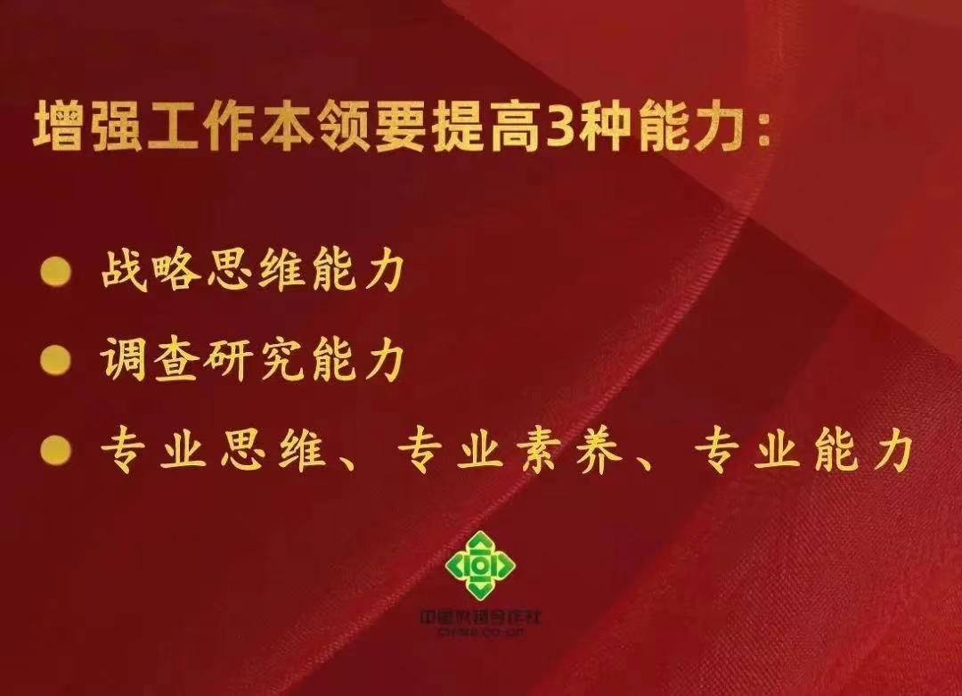 香港宝典六资料大全