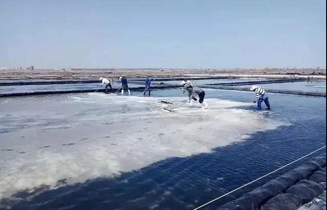 香港宝典六资料大全