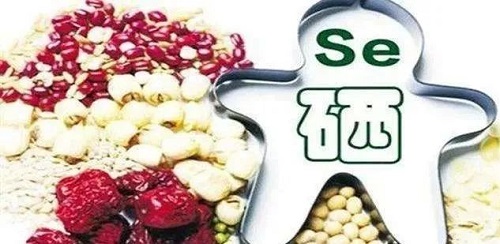 香港宝典六资料大全