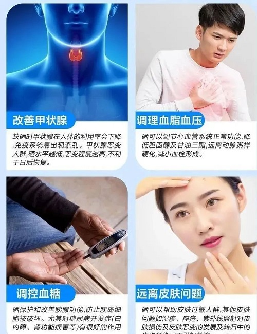 香港宝典六资料大全