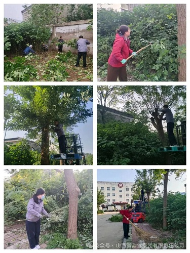 香港宝典六资料大全