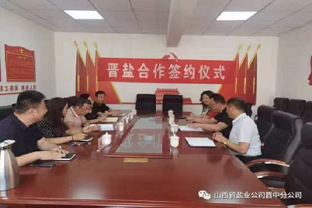 重塑盐业辉煌&middot;我们在行动 ——聚焦“三转”思想 深耕盐业市场